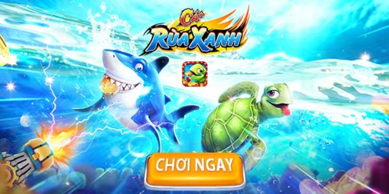 Chi tiết về các bước đặt cược cùng trò chơi